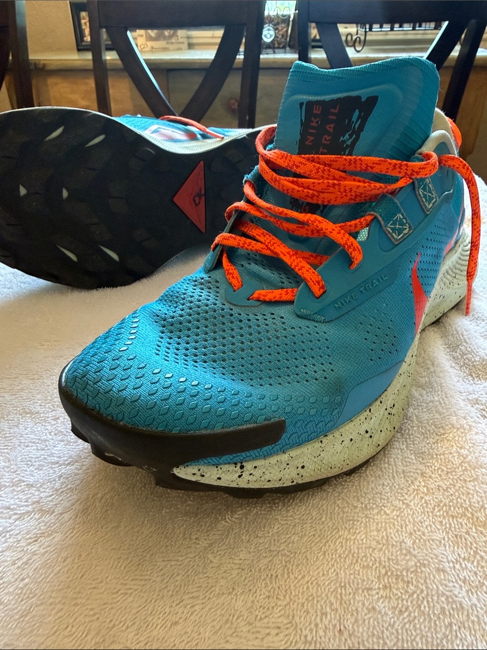 Nike Pegasus Trail 3
